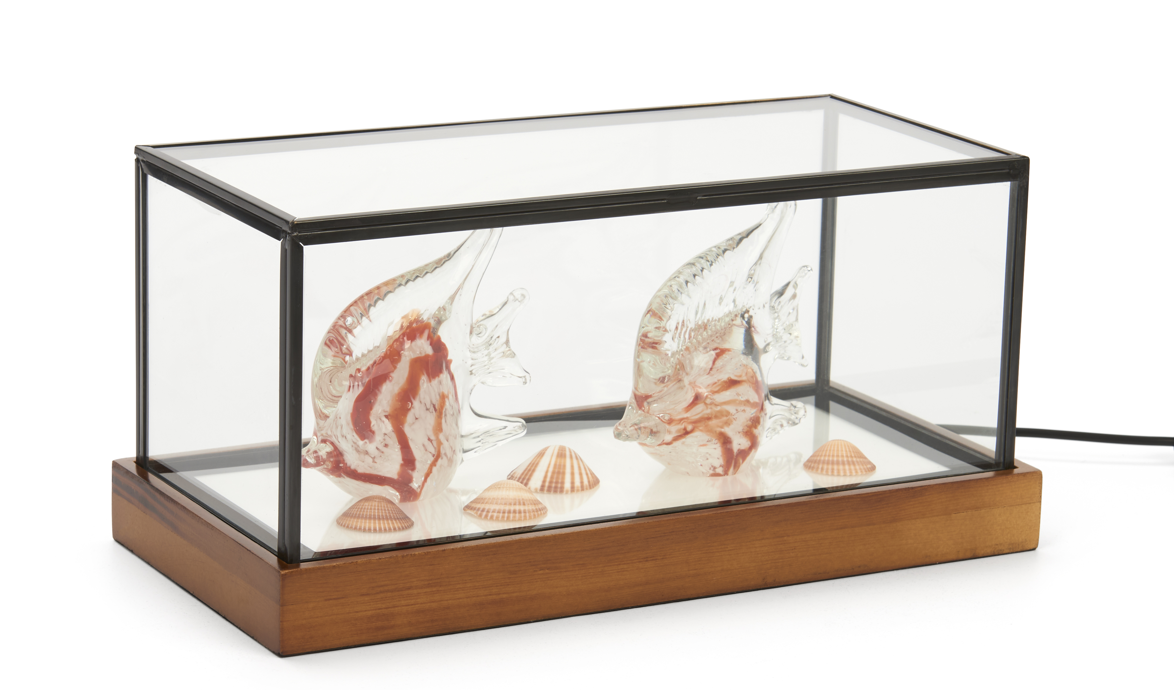 LED Glass Tabletop Display Box | Black Copper Frame w/ Wood Base ...