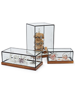 LED glass tabletop display box with rubber wood base
