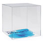 Small clear display box with printed base with 0.5 inch acrylic