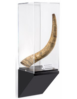 Wedge pedestal gallery wall display shown with collectible