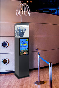 Pedestal display case with digital screen