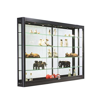 Wall mount display cases