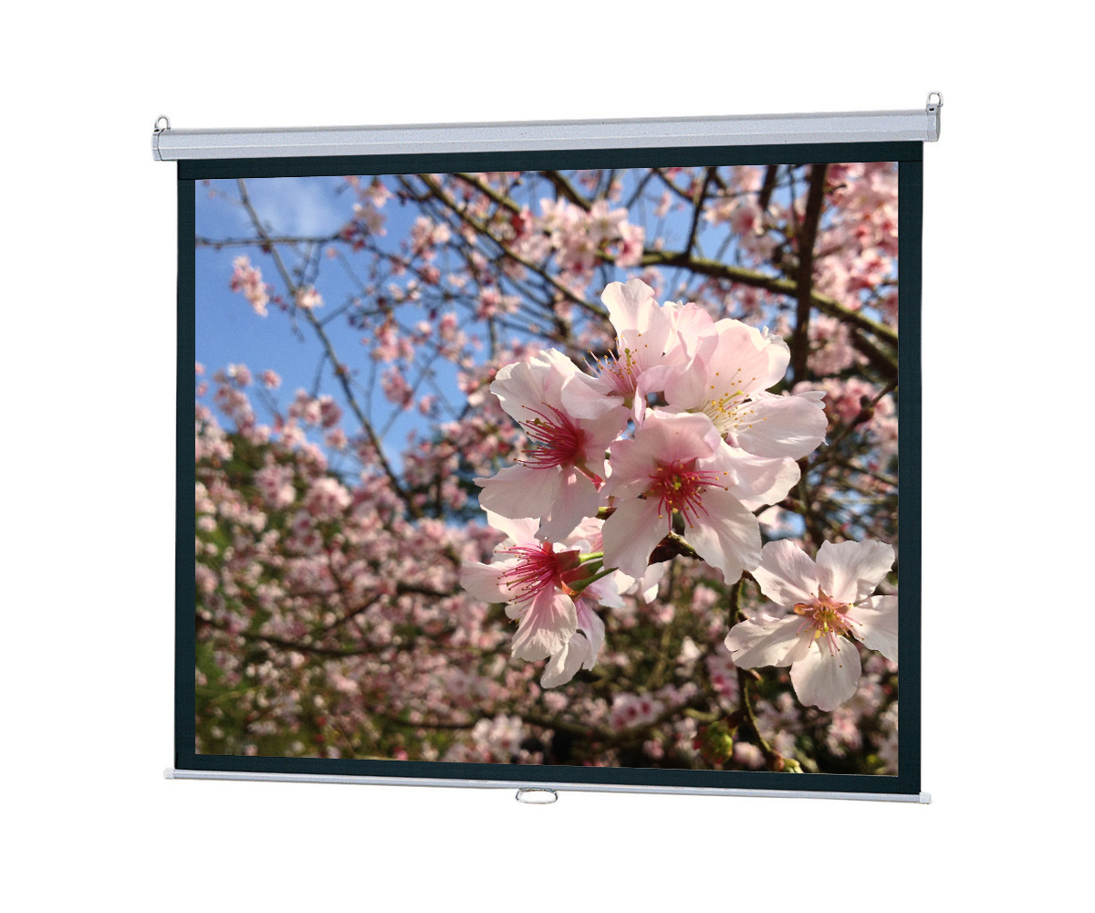 Light Pull Screen Pull Down Screen | Retracting Wall or Ceiling Design for Projectors ...