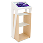 Digital kiosk display with 21.5 inch LCD screen