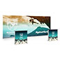 20' SEG light box display with counter with SEG graphics