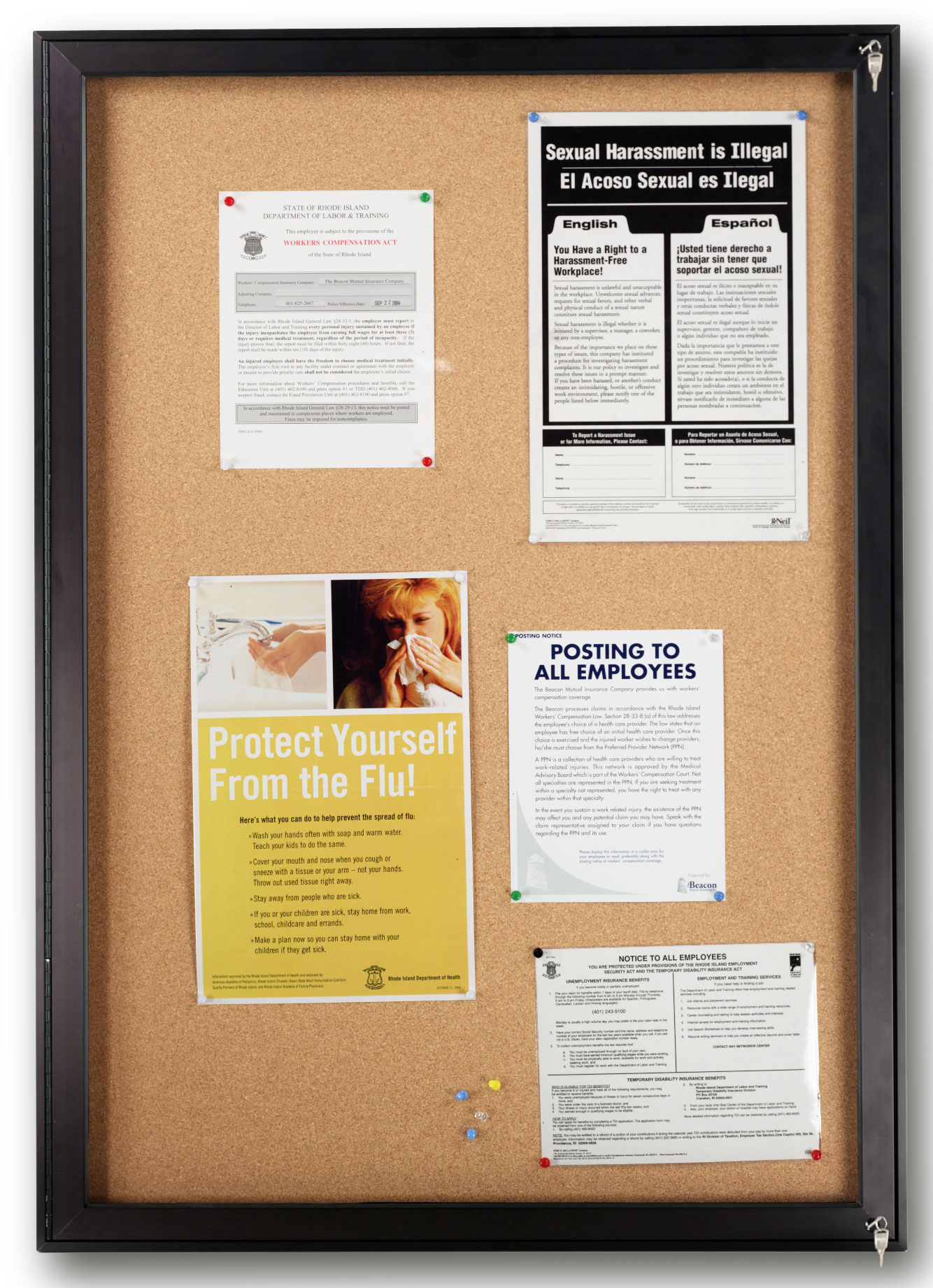 34" x 48" Exterior Cork Board with Locking Door keeps your messages