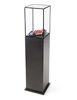 Pedestal Case