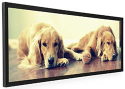 black panoramic picture frame