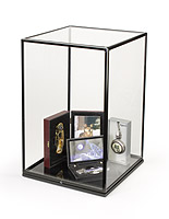 Collectible Display