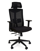 Ergonomic black mesh office chair with adjustable headrest 