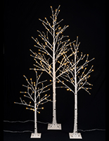 Lighted birch tree with various height options