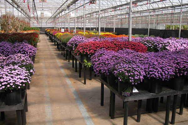 Shop garden center and flower merchandising displays