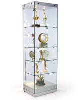 award display case