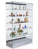 Glass Display Case
