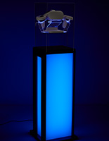 Acrylic display pedestal with LED lights and modern design