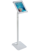 iPad Payment Kiosk for Retail Stores