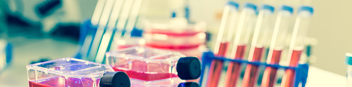 Medical Laboratory Displays