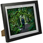 8" x 10" Wood Picture Frames with Mat