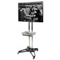 Flat Panel Television Stands