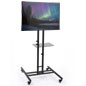 Mobile TV Stand 