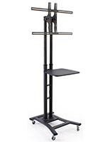 mobile TV stand