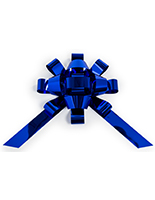 Metallic blue windshield bow for large appliances