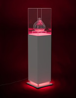 Pedestal display case with acrylic cover with LED lighting