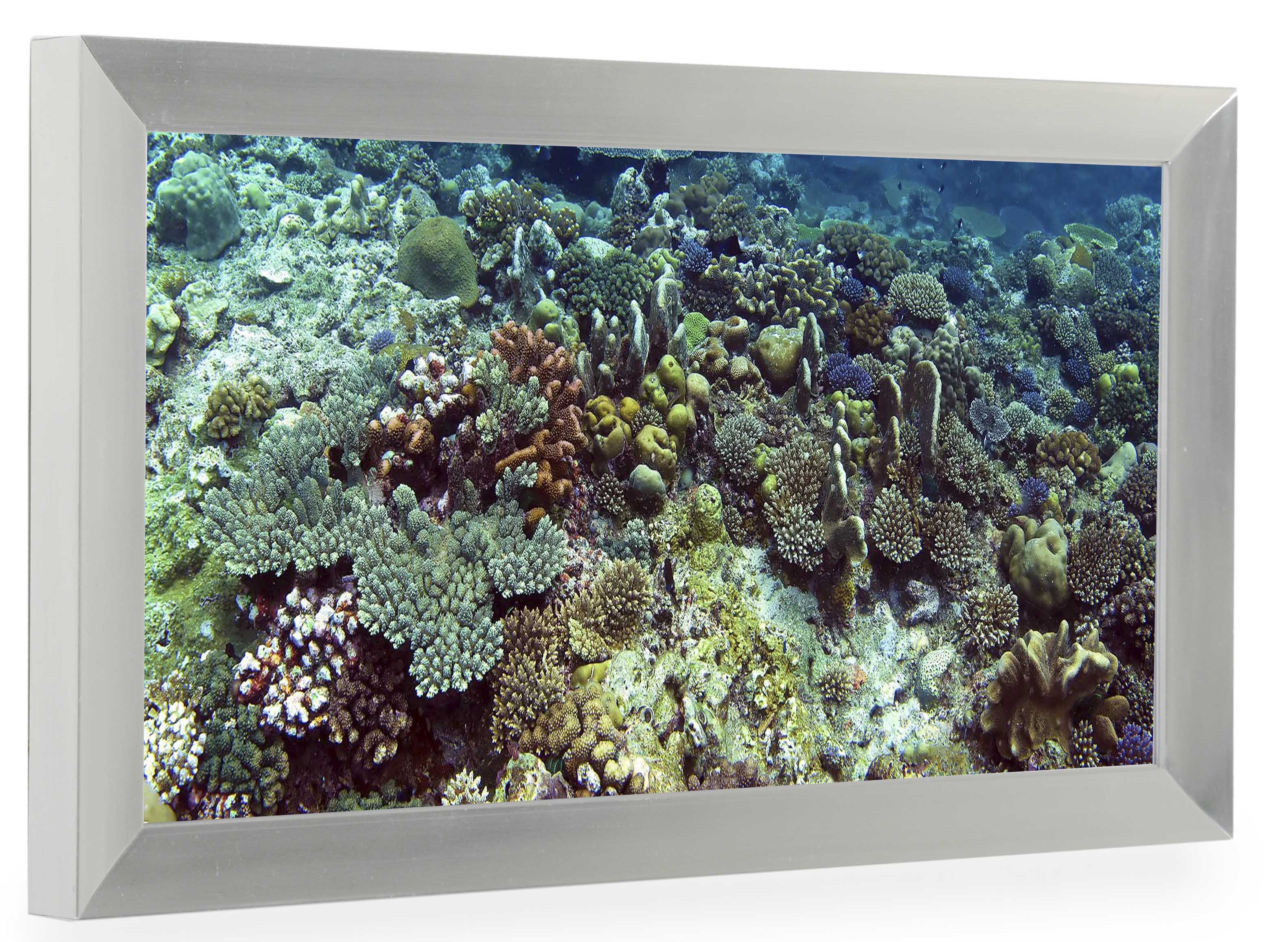 Silver Panoramic Photo Frame | 10