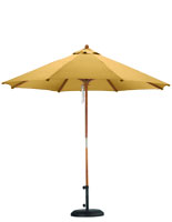 Yellow Market Umbrella
