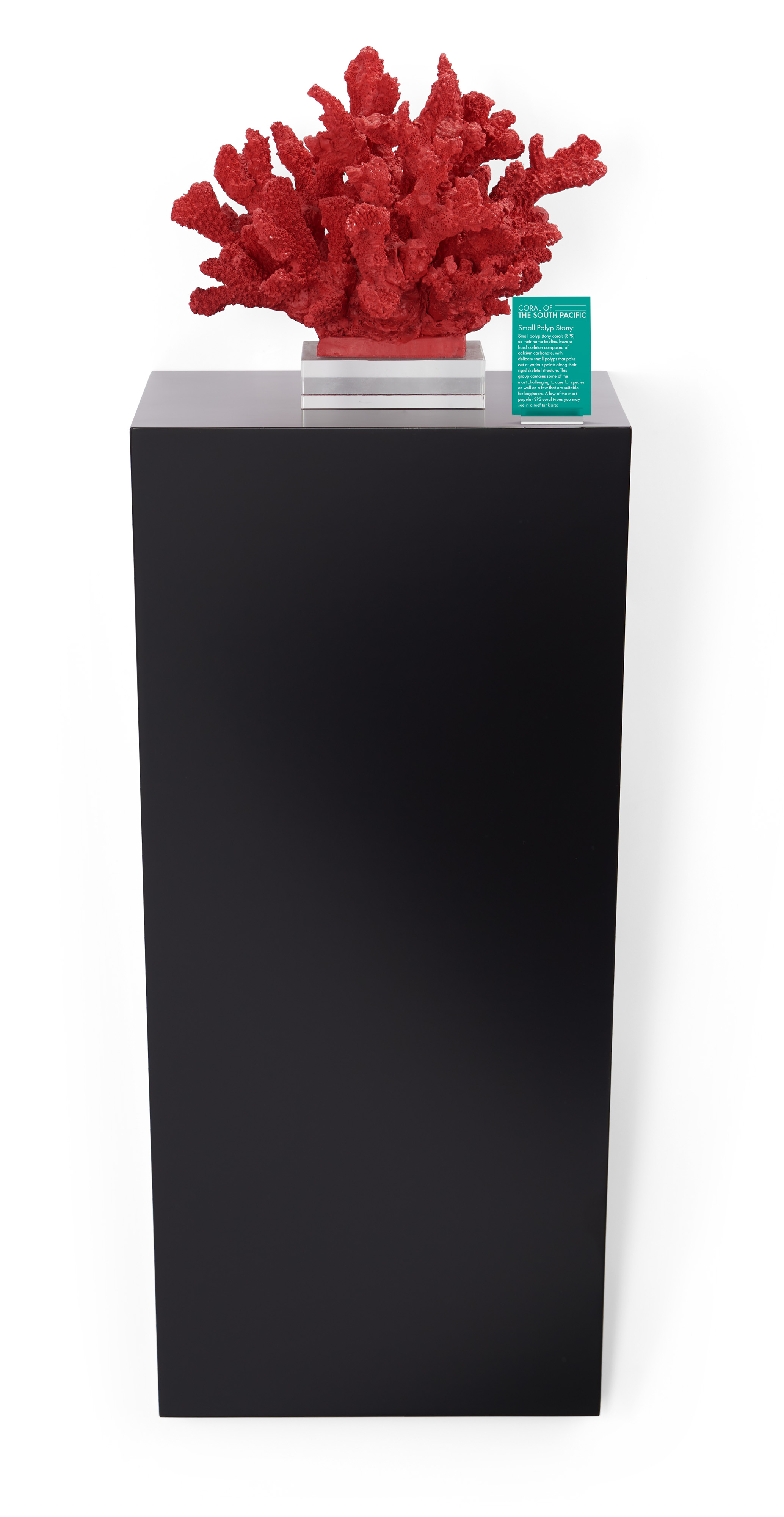 28h x 12w Wedge Pedestal Display, Wall Mounted Design, Laminated MDF - White or Black - Image 3