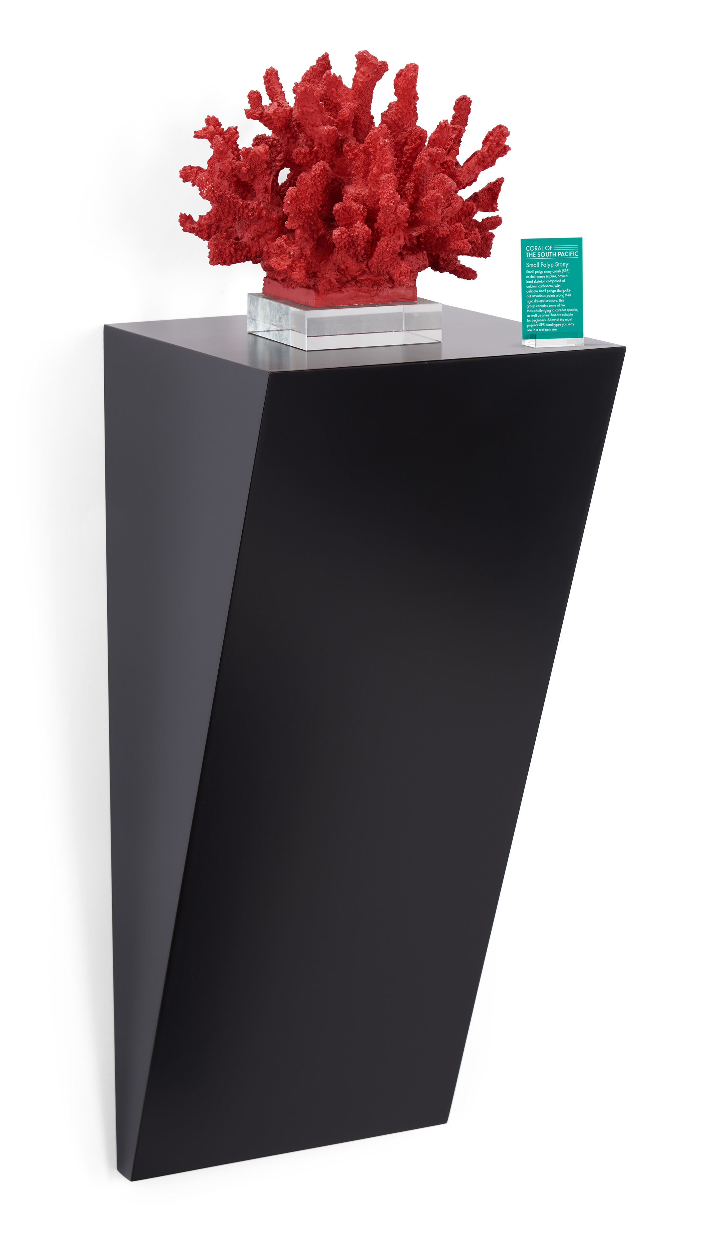 28h x 12w Wedge Pedestal Display, Wall Mounted Design, Laminated MDF - White or Black - Image 2