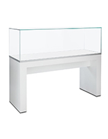 Glass display table case with frameless design