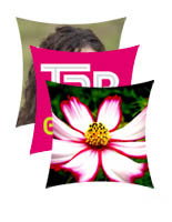 replacement graphics