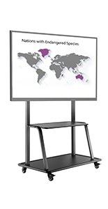 Contemporary mobile TV mount is compatible with multiple VESA patterns
