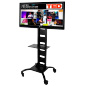 Office TV Stand