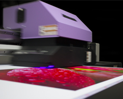 UV Curing Technology