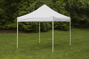 Exhibit tents 2025