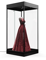 Mannequin display case with frameless design