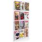 29 inch x 47.5 inch wall mounted acrylic literature display with 12 clear pocket dividers for magazines