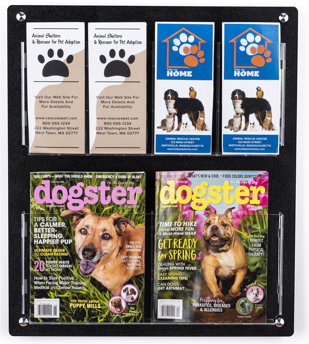 Why Do Dogs Scratch At Walls