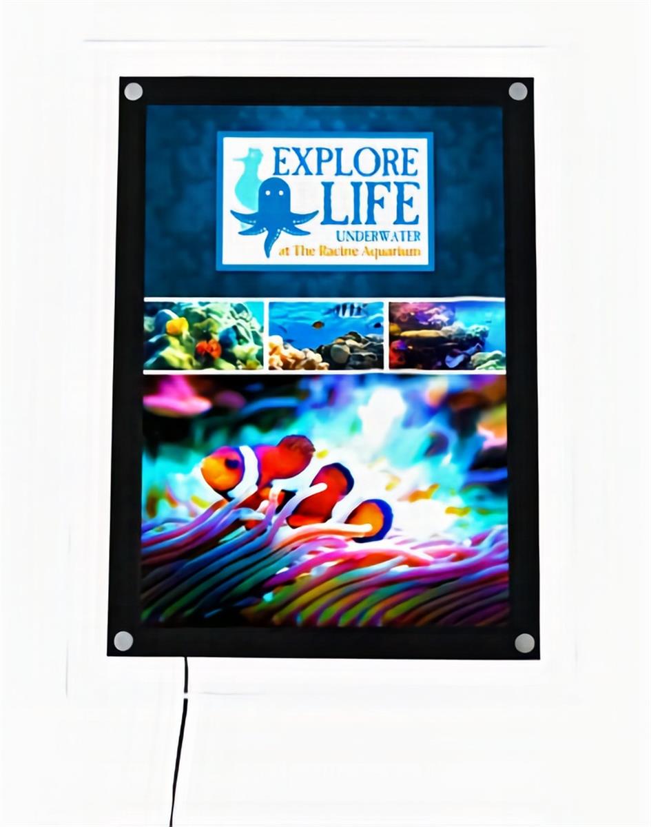 Acrylic LED Lightbox Display Post Up Stand