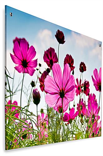 Floral Photo Acrylic Wall Art | UV Printed