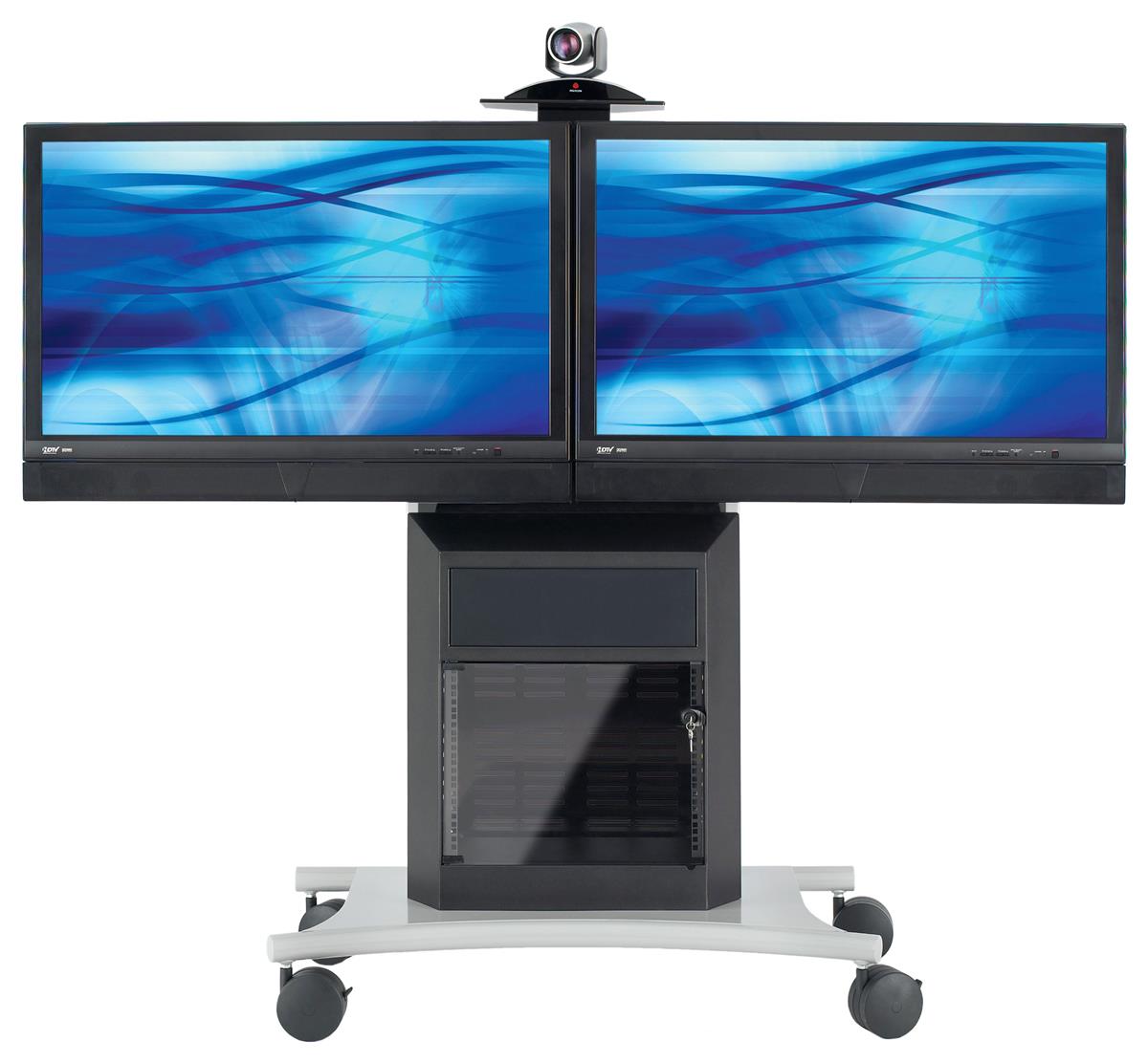 double camera monitor