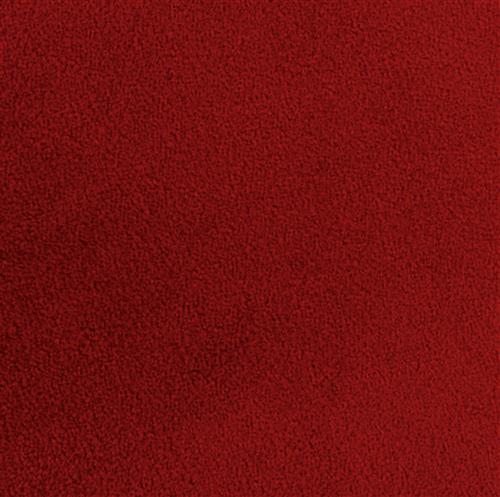 20' red carpet roll made of medium pile dirt resistant nylon fiber