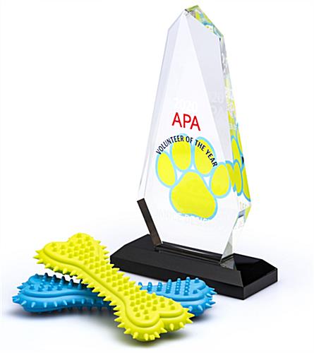 Acrylic rectangle teardrop award with full color graphics