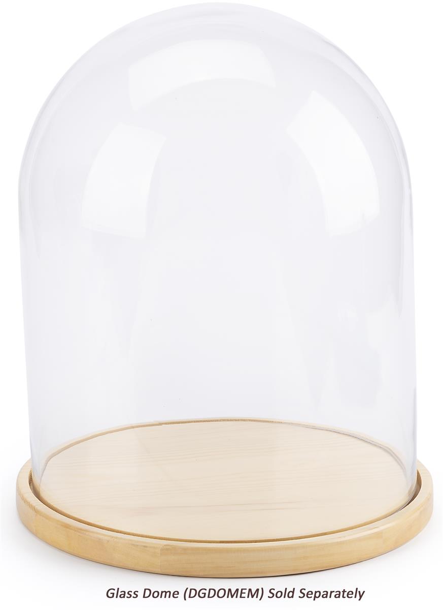 Glass Dome Wood Bases 