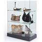 Display case spotlights are the perfect accessory