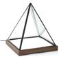 Lighted pyramid glass box with rubber wood base