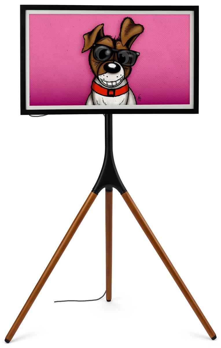 Digital NFT Frame Link Your MetaMask Wallet