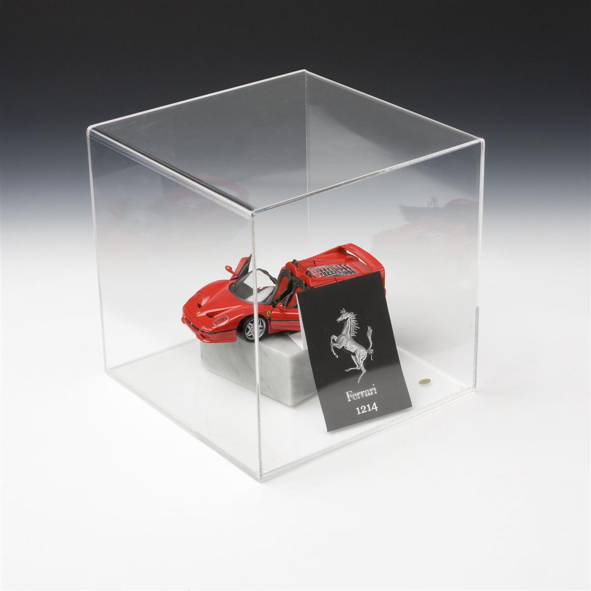 Countertop Memorabilia Display Cases Display With Removable Riser